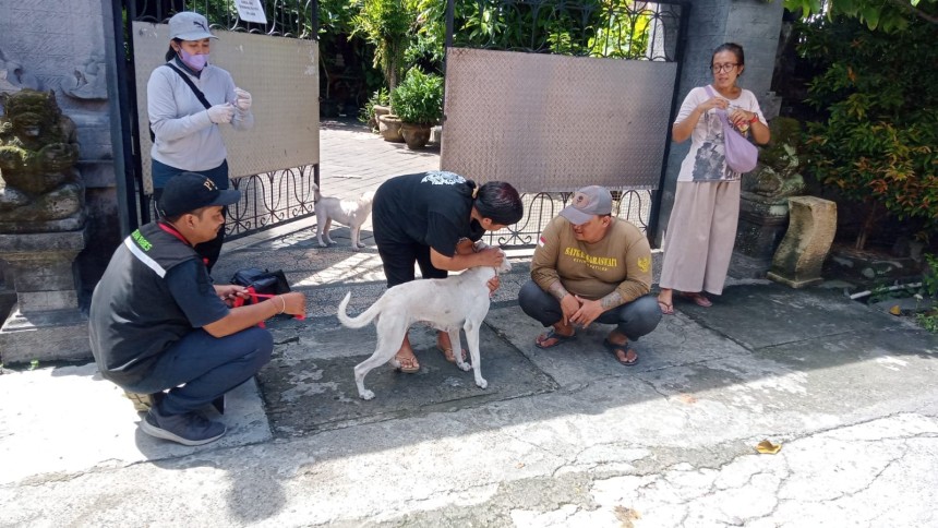 Kegiatan Vaksinasi Rabies